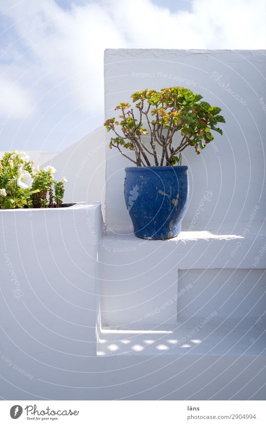 Dachterrasse Ferien & Urlaub & Reisen Tourismus Sommer Sommerurlaub Häusliches Leben Haus Essaouira Marokko Kleinstadt Altstadt Bauwerk Gebäude Mauer Wand