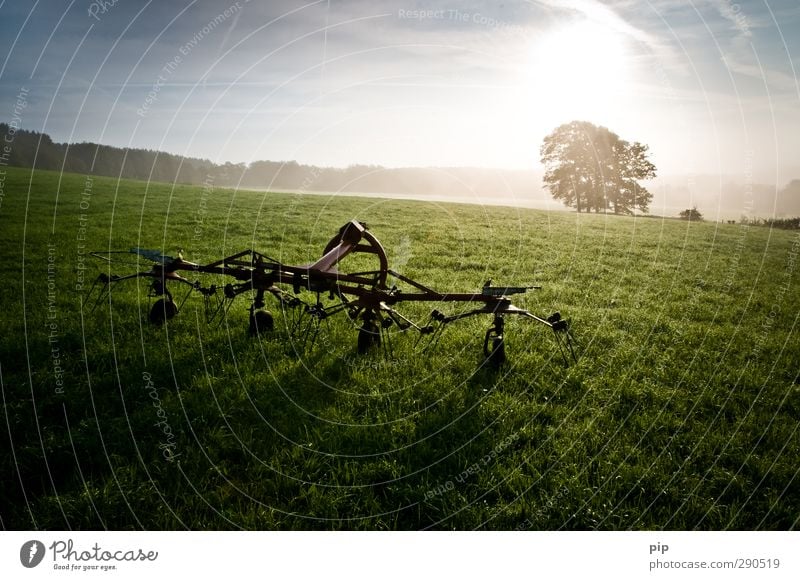 kreiselzettwender Landwirtschaftliche Geräte Umwelt Sonne Sommer Herbst Schönes Wetter Baum Wiese Feld Metall frisch hell nachhaltig ländlich Landleben