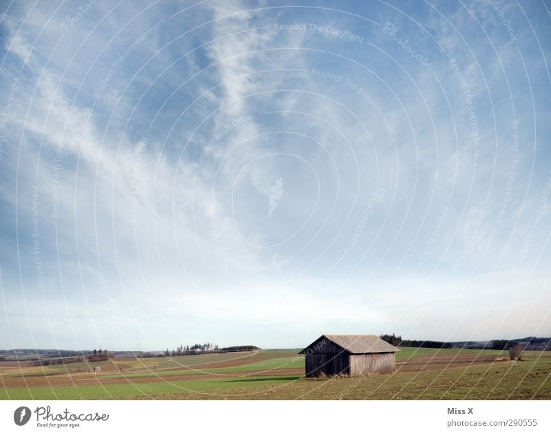 Weites Land Umwelt Himmel Schönes Wetter Wiese Feld Menschenleer Hütte Unendlichkeit Einsamkeit Freiheit Ferne Scheune Farbfoto Außenaufnahme Textfreiraum oben