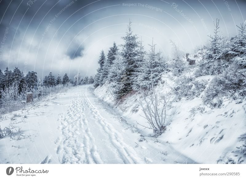 So könnte es aussehen Wintersport Natur Landschaft Pflanze Himmel Wolken Wetter schlechtes Wetter Schnee Wald Berge u. Gebirge Wege & Pfade kalt schwarz weiß