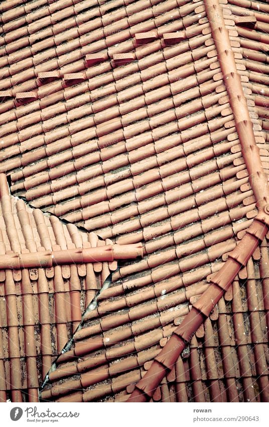 dachlinien Haus Bauwerk Dach Stadt rot Dachziegel Dachdecken Linie Muster regelmässig Dachgaube Vogelperspektive Wetterschutz Farbfoto Außenaufnahme