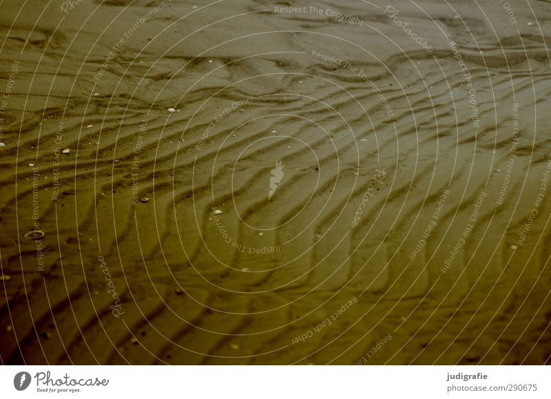 Strandformen Umwelt Natur Landschaft Sand Wellen Küste Ostsee natürlich Wärme wild weich Strukturen & Formen Farbfoto Gedeckte Farben Außenaufnahme Menschenleer