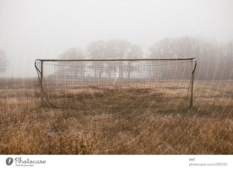 Toooor! Freizeit & Hobby Sport Ballsport Torwart Sportveranstaltung Fußball Sportstätten Fußballplatz Stadion Feierabend Herbst schlechtes Wetter Nebel Gras