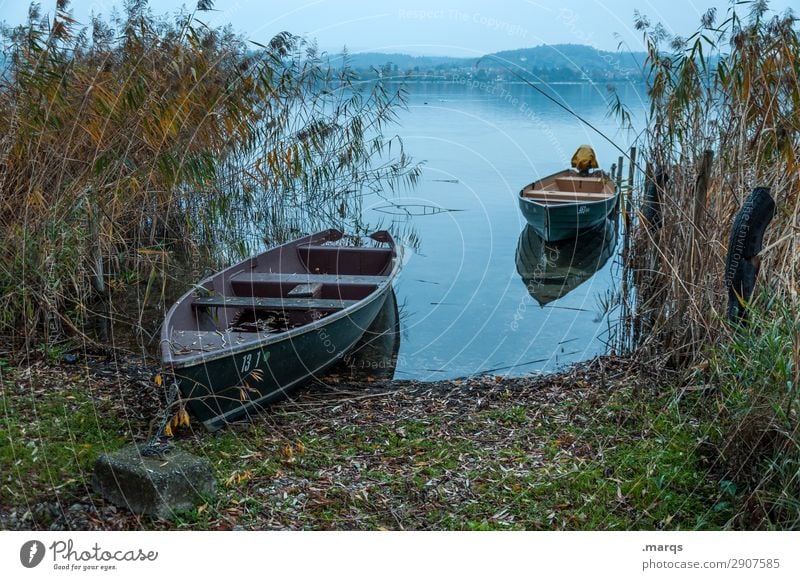 Anleger Natur Landschaft Schilfrohr See Bodensee Ruderboot ankern schön ruhig Güterverkehr & Logistik Idylle Farbfoto Außenaufnahme Menschenleer