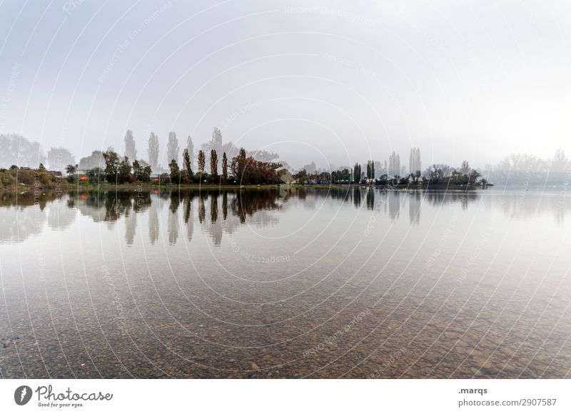 BoBodensee Natur Landschaft Himmel Baum Seeufer außergewöhnlich Freiheit Umwelt Irritation Doppelbelichtung Reflexion & Spiegelung Farbfoto Außenaufnahme