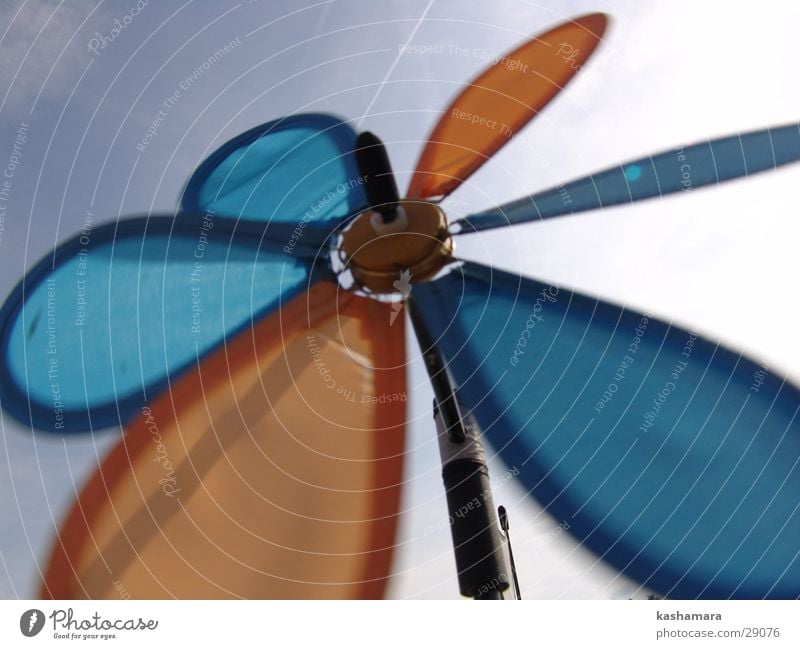 Wind-Blume Spielen Sommer Himmel drehen blau gelb Farbfoto Nahaufnahme Makroaufnahme Menschenleer Froschperspektive Windrad