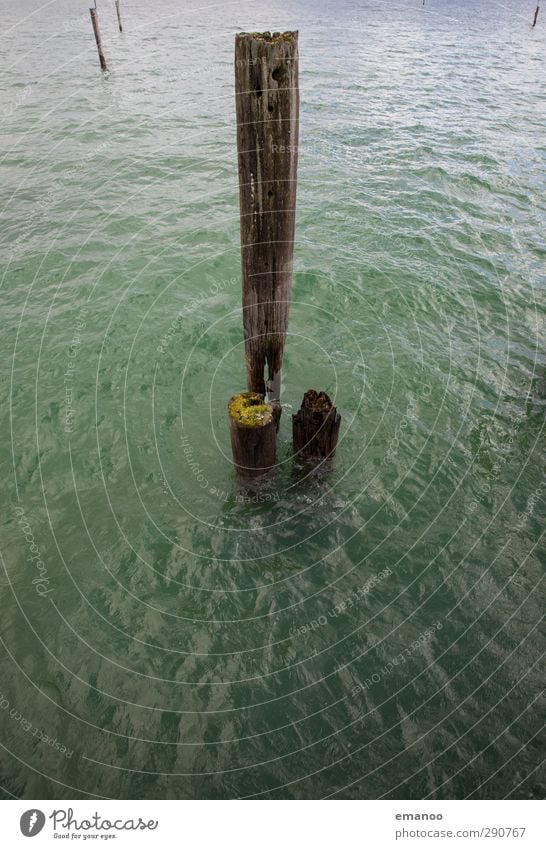 Holz im Wasser Umwelt Natur Landschaft Klima Wetter Baum Moos Wellen Küste See Schifffahrt Hafen alt kaputt grün Pfosten Poller Bodensee Immenstaad verwittert