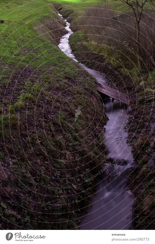 Einschnitt Umwelt Natur Landschaft Wasser Klima Pflanze Baum Gras Sträucher Garten Wiese Feld Hügel Bach Fluss Wasserfall Brücke grün geschnitten fließen klein