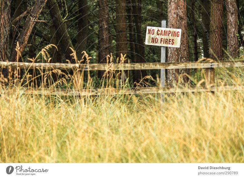 No camping & no fire = :-( Ferien & Urlaub & Reisen Abenteuer Freiheit Camping wandern Natur Landschaft Pflanze Tier Frühling Sommer Herbst Baum Gras Sträucher