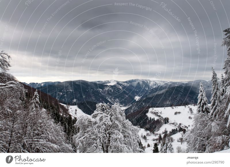 Feldberg Tourismus Ausflug Abenteuer Ferne Winterurlaub Natur Landschaft Himmel Gewitterwolken Klima Unwetter Eis Frost Schnee Baum Berge u. Gebirge kalt