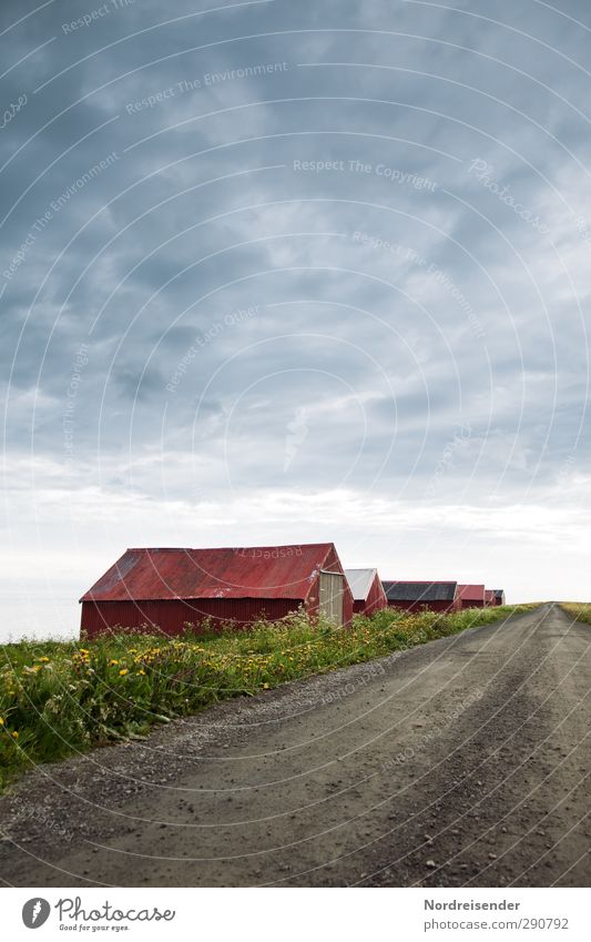 Randerscheinung Sinnesorgane ruhig Ferne Freiheit Landschaft Wolken Frühling Sommer Klima Gras Wiese Küste Meer Fischerdorf Menschenleer Haus Hütte Bauwerk