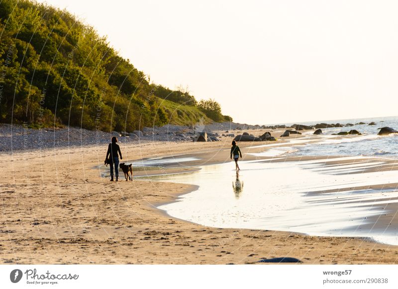 Strandwanderung Ferien & Urlaub & Reisen Ausflug Mensch feminin Kind Mädchen Junge Frau Jugendliche 2 Wasser Himmel Horizont Frühling Schönes Wetter Küste