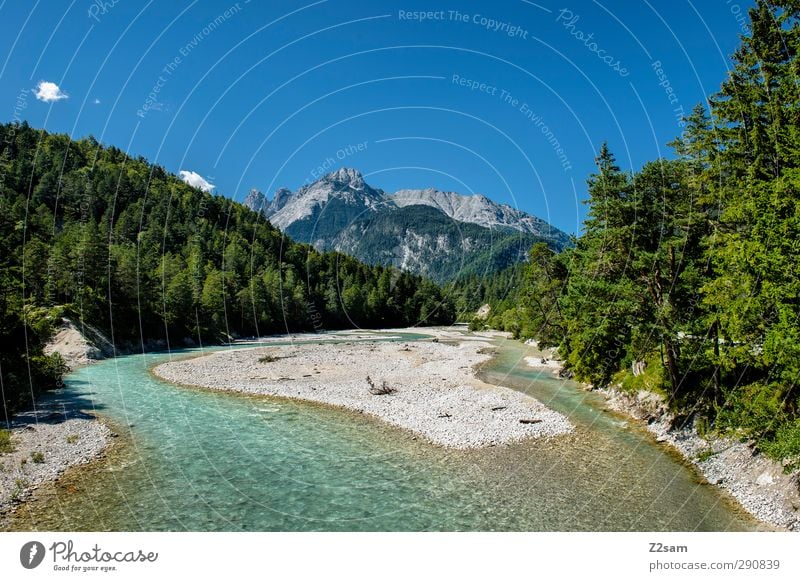 Isarursprung Umwelt Natur Landschaft Wolkenloser Himmel Sommer Schönes Wetter Baum Wald Alpen Berge u. Gebirge Gipfel natürlich Erholung