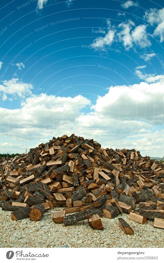 Stapel frisch geschnittener Bäume auf blauem Sku-Hintergrund Industrie Natur Himmel Baum Wald Papier Holz natürlich braun Ende Nutzholz Totholz Anhäufung