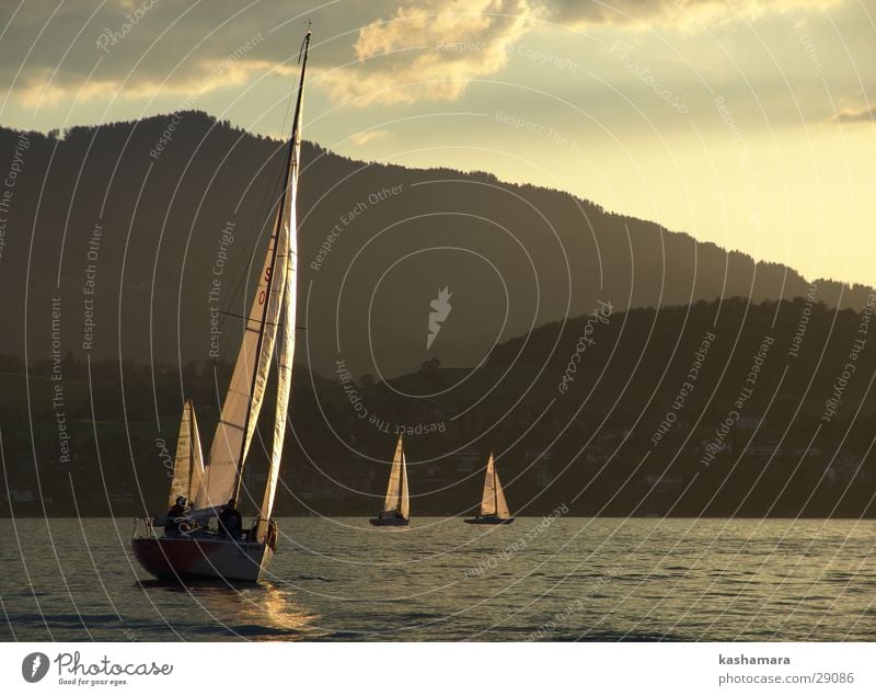 Segel-Regatta Berge u. Gebirge Wassersport Segeln Himmel Wolken Horizont See Schifffahrt Binnenschifffahrt Segelboot Segelschiff Wasserfahrzeug gold