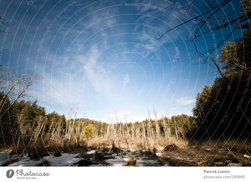 Breakneck Pond Umwelt Natur Landschaft Urelemente Luft Himmel Wolken Sonnenlicht Winter Klima Wetter Eis Frost Wald Vergangenheit USA connecticut Farbfoto