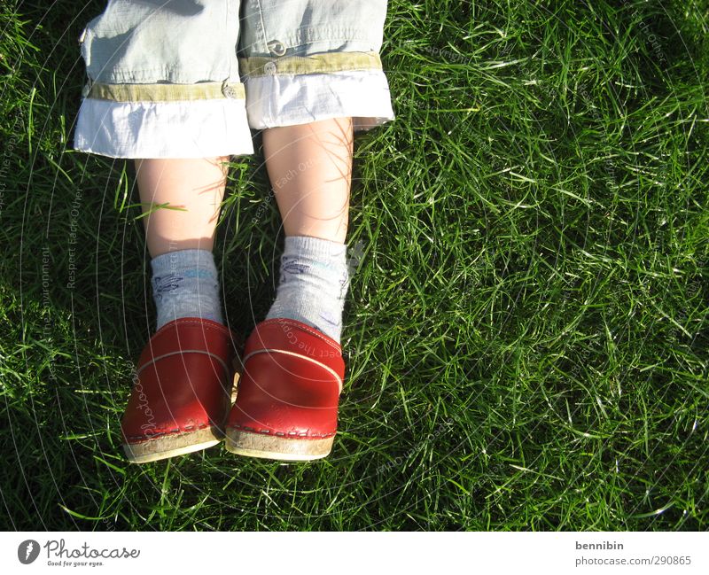 Little feets feminin Kind Freundschaft Kindheit Fuß 1-3 Jahre Kleinkind Umwelt Sommer Schönes Wetter Erholung genießen liegen frei Fröhlichkeit gut grün Glück