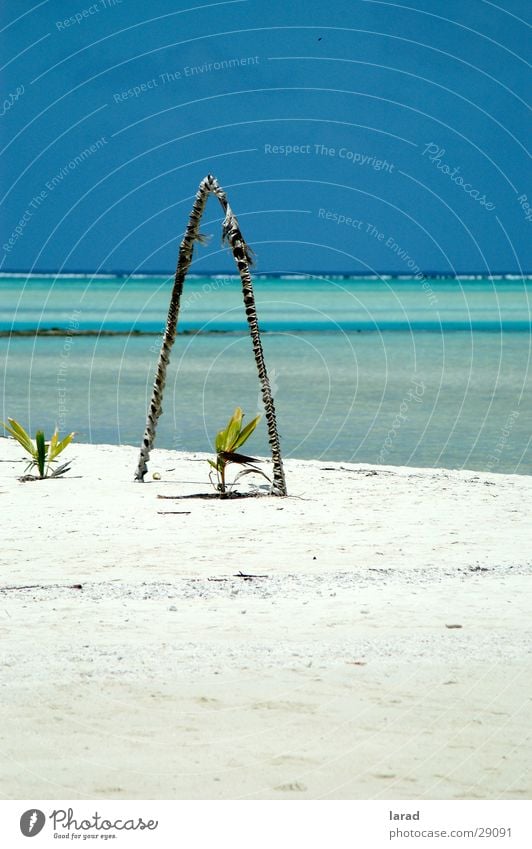 Aitutaki Dreams Karibisches Meer Lagune Strand Traumstrand Riff Los Angeles Cook Islands Lagoon Kokospalme Sand Himmel