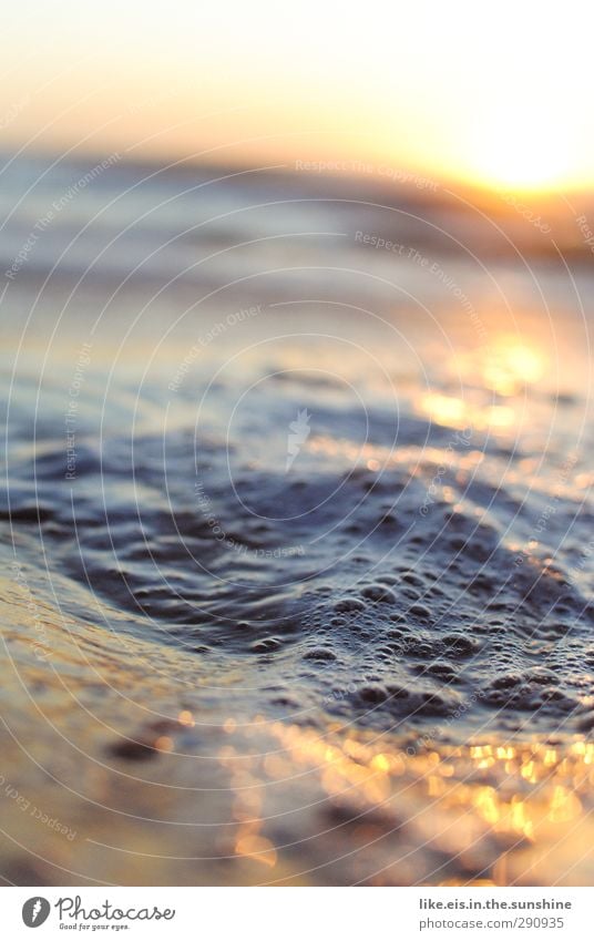 ende vom tag am meer Sommerurlaub Sonnenbad Strand Insel Wellen Umwelt Natur Landschaft Wasser Nordsee Ostsee Meer leuchten Gedeckte Farben mehrfarbig