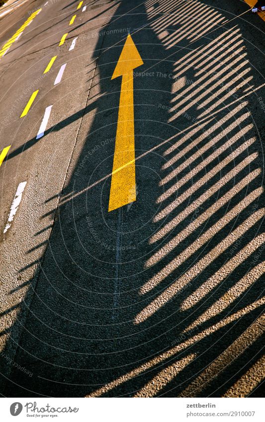 Pfeil nach oben abbiegen Asphalt Ecke Fahrbahnmarkierung Hinweisschild Linie Schilder & Markierungen Navigation Orientierung Richtung Straße Empfehlung