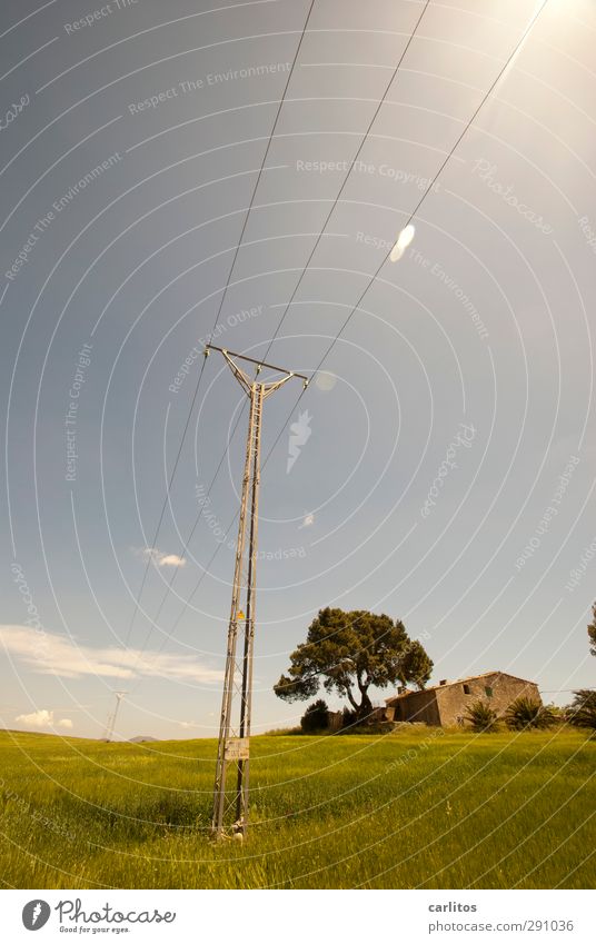 Noch 11 Wochen bis zur Sommerzeit Himmel Sonne Schönes Wetter Wärme Baum Gras Wiese Feld Haus Gebäude leuchten ästhetisch Strommast blau grün Naturstein Kabel