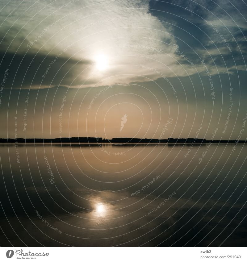 Nichtraucherinsel Umwelt Natur Landschaft Wasser Himmel Wolken Horizont Sonnenlicht Klima Wetter Schönes Wetter Wärme Wald See leuchten ruhig Zufriedenheit