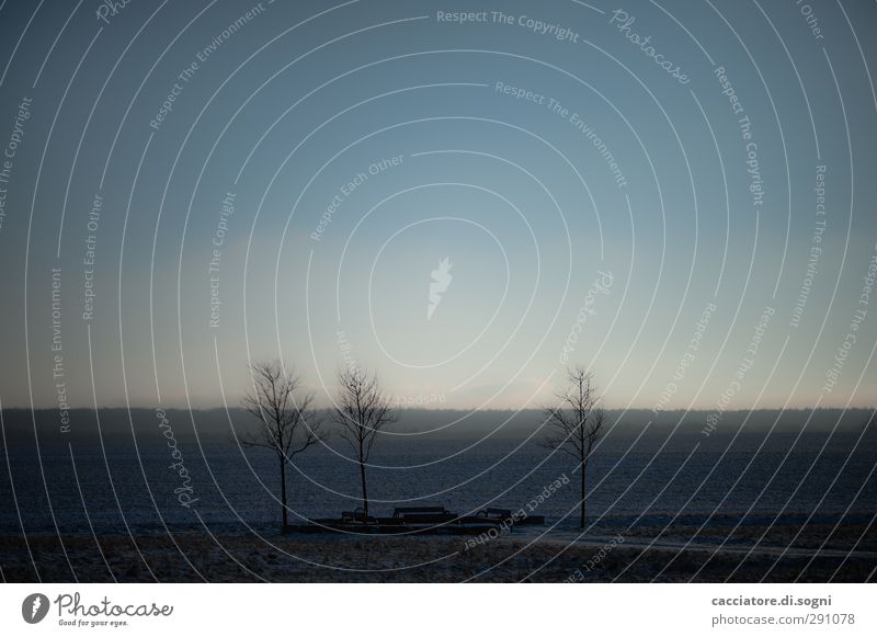 not the best time for a picnic Meditation Ferne Winter Landschaft Himmel Sonnenaufgang Sonnenuntergang Baum Feld Menschenleer Park Parkbank ästhetisch dunkel