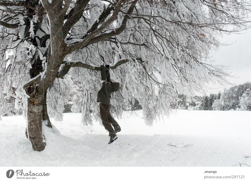 Abhängen Leben Ferien & Urlaub & Reisen Ausflug Winter Schnee Winterurlaub Mensch maskulin Erwachsene 1 Umwelt Natur Landschaft Klima Wetter Eis Frost Baum