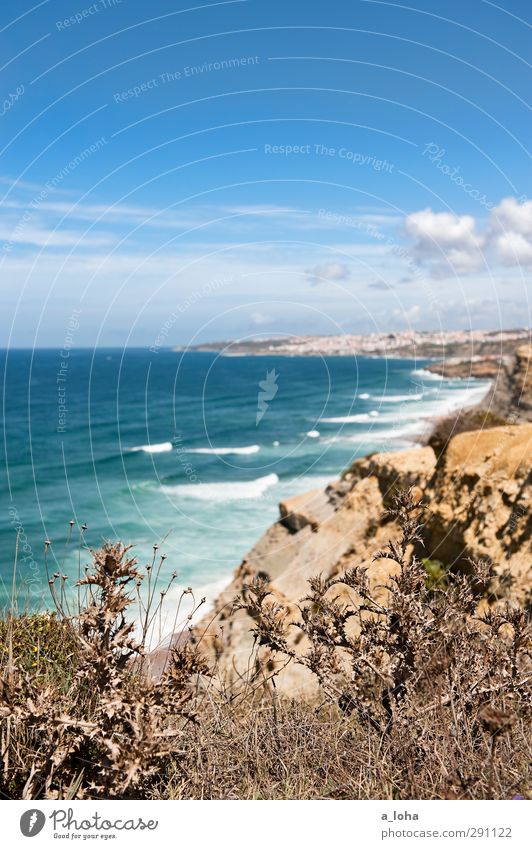 summertime Natur Landschaft Urelemente Erde Wasser Himmel Wolken Horizont Sommer Klima Schönes Wetter Pflanze Sträucher Felsen Wellen Küste Meer schön Fernweh