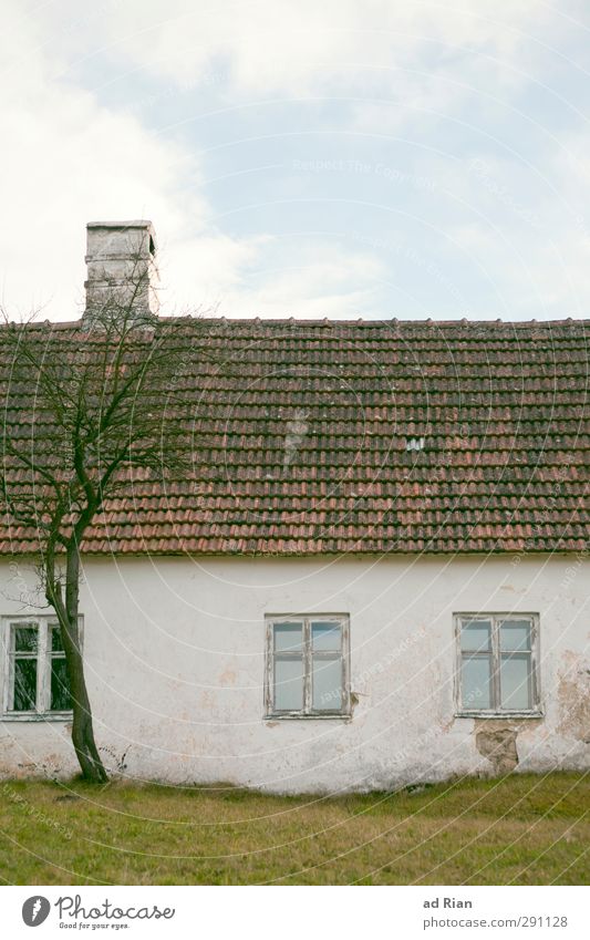 warten auf bessere Zeiten. Umwelt Himmel Wolken Winter Schönes Wetter Eis Frost Dürre Baum Gras Feld Dorf Menschenleer Haus Hütte Gebäude Bauernhof Mauer Wand