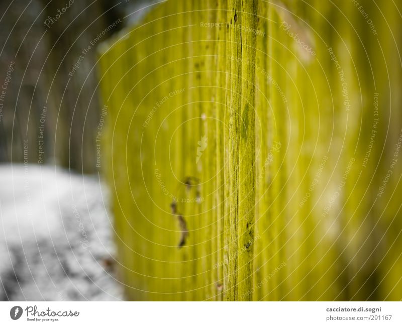 mossy green Zaun Holz alt ästhetisch einfach lang natürlich schön grün Gefühle Sicherheit Schutz Romantik geduldig ruhig standhaft bescheiden Neugier Abenteuer