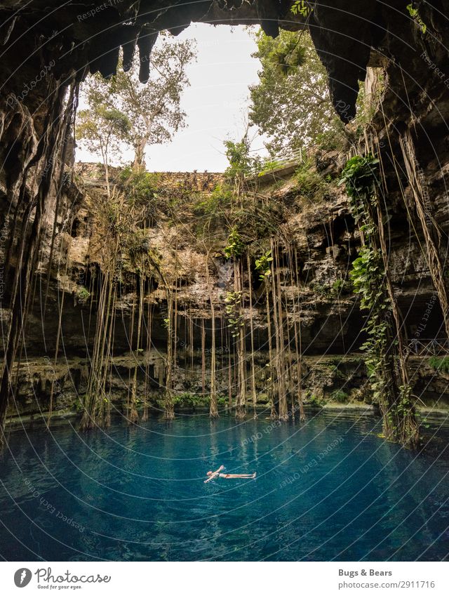 Cenote, Yucatan feminin Umwelt Natur Pflanze Wasser Sommer Grünpflanze Urwald Schlucht Teich See Oase genießen Abenteuer entdecken Erholung