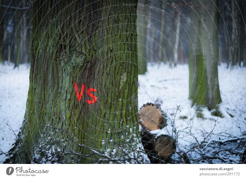 incomplete Schnee Baum Wald Schriftzeichen alt dunkel kalt grün weiß Opferbereitschaft Ausdauer standhaft Enttäuschung Einsamkeit bizarr Ende Erwartung