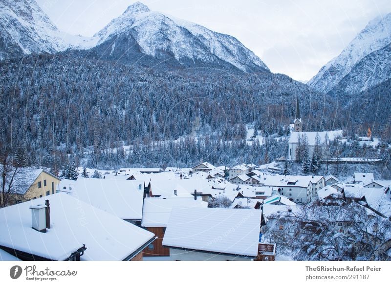 Schellenurslidorf im Winter Landschaft Haus Einfamilienhaus Kirche braun gold grau grün schwarz weiß Dorf Schnee Dach bewohnt Bergen Turm Baum Wald