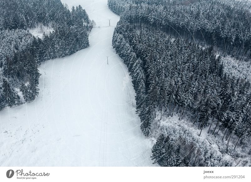 Schneise Landschaft Winter Schnee Wald kalt klein schwarz weiß ruhig Freiheit Umwelt Wege & Pfade Vogelperspektive Farbfoto Gedeckte Farben Außenaufnahme