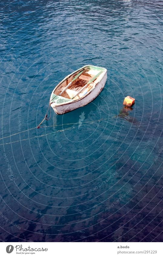 Stiefel von Robinson Crusoe Natur Landschaft Urelemente Wasser Sommer Wetter Schönes Wetter Wellen Strand Bucht Fjord Meer Pazifik Insel Freude Leidenschaft