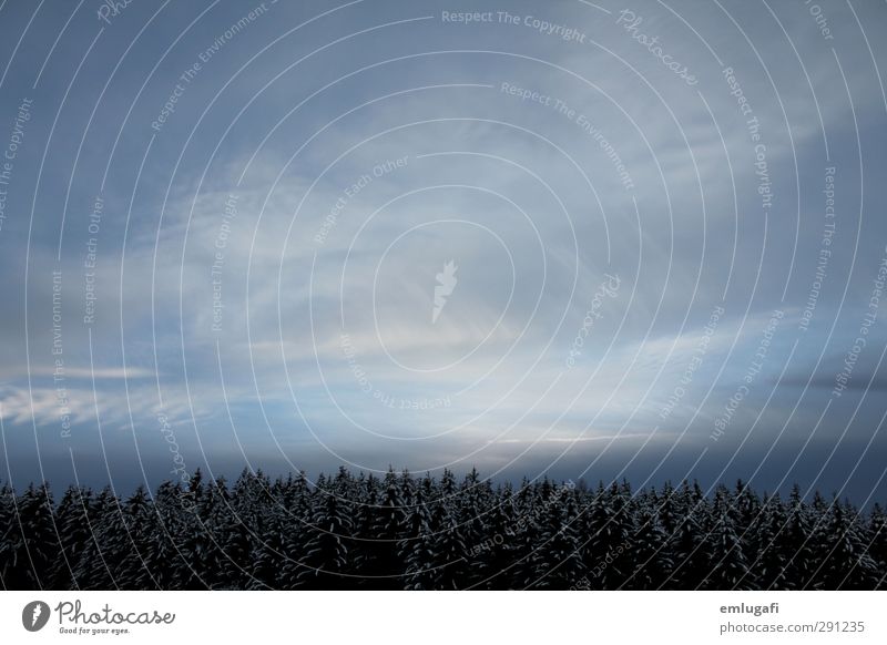 outside Freiheit Winter Landschaft Wolken Eis Frost Baum Wald dunkel Unendlichkeit blau Horizont kalt Farbfoto Außenaufnahme Menschenleer Dämmerung