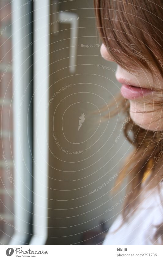 Sehen Fenster Mund Nase Haare & Frisuren Mädchen Blick Backstein Glas Griff Gesicht Lippen Profil