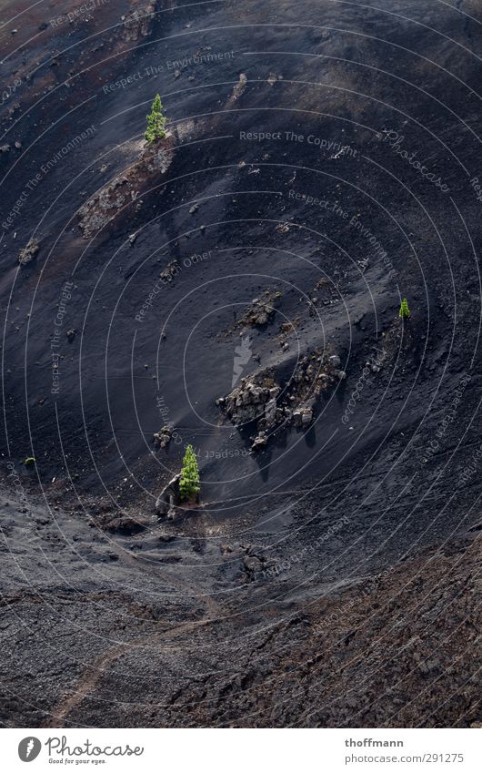 La Palma Lava Tanne Berge u. Gebirge Stein schwarz grün Ferien & Urlaub & Reisen Reisefotografie Rucksack Kanaren Insel Europa laufen Klettern Bergsteigen Kies