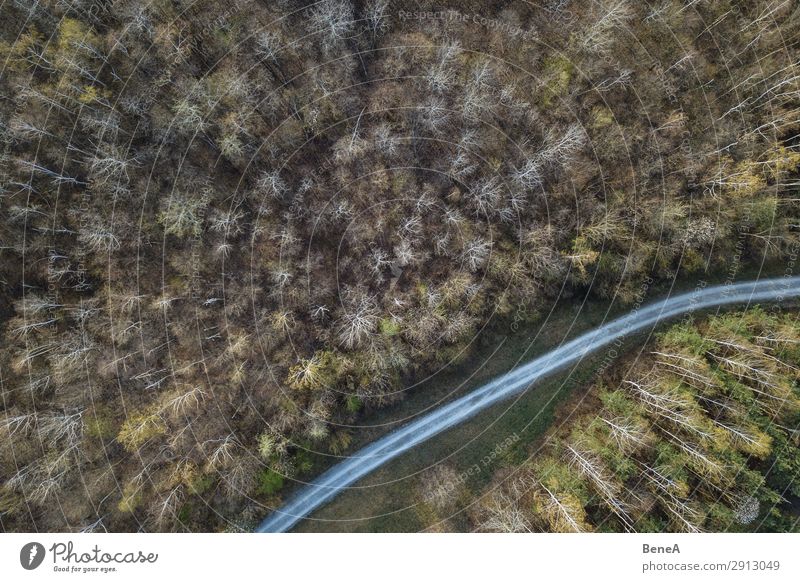 Kleine Straße in einem Wald von oben gesehen Antenne Air Bayern Wegbiegung Vogelschau Dröhnen fallen Deutschland grün Landschaft Linie einsam natürlich Natur