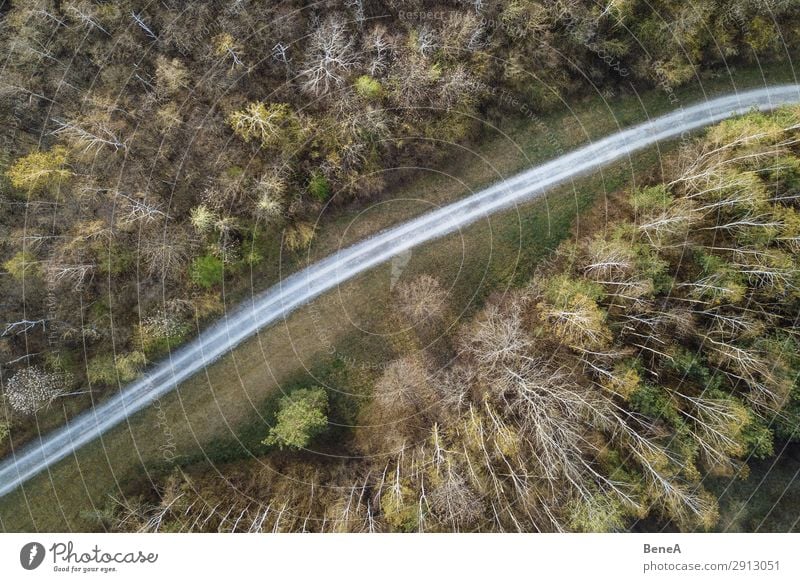 Kleine Straße in einem Wald von oben gesehen Antenne Air Bayern Wegbiegung Vogelschau Dröhnen fallen Deutschland grün Landschaft Linie einsam natürlich Natur