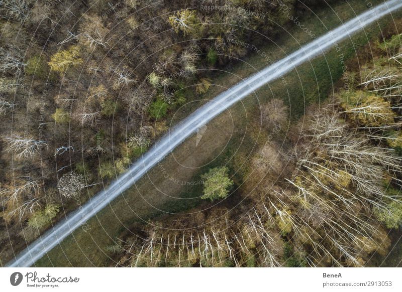 Kleine Straße in einem Wald von oben gesehen Antenne Air Bayern Wegbiegung Vogelschau Dröhnen fallen Deutschland grün Landschaft Linie einsam natürlich Natur