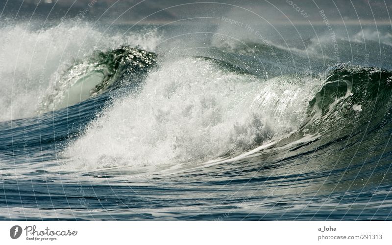 wavegarden Umwelt Natur Landschaft Urelemente Wasser Wassertropfen Sommer Schönes Wetter Wellen Küste Meer Linie Bewegung ästhetisch exotisch gigantisch nass