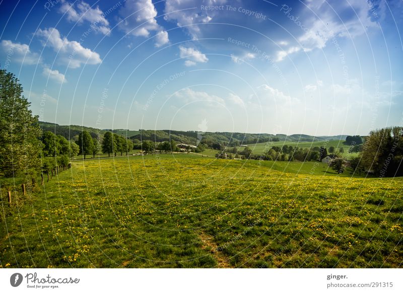 If you give up Cologne... Umwelt Natur Landschaft Himmel Wolken Horizont Sonnenlicht Frühling Klima Wetter Schönes Wetter Feld Wald Hügel Ferne offen