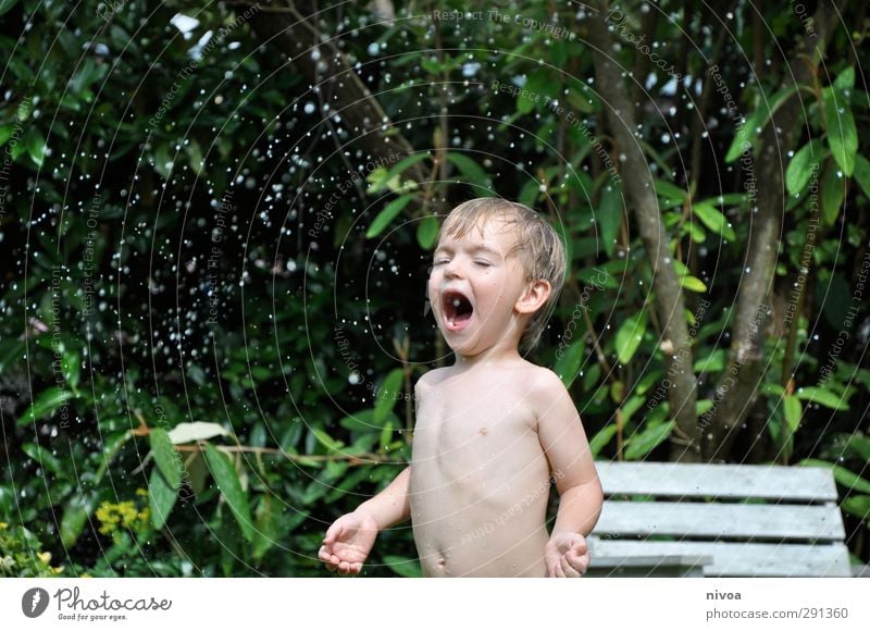 Schnapp Haare & Frisuren Haut Gesicht maskulin Kind Kleinkind Junge Kindheit Brust 1 Mensch 3-8 Jahre Sommer Pflanze Baum Grünpflanze Nutzpflanze Badehose blond