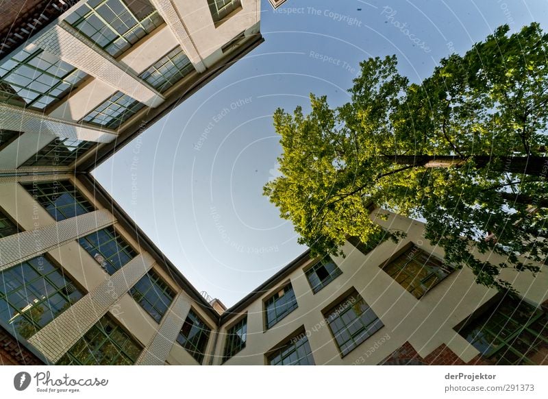 Das Fenster zum Hof 06 Hauptstadt Menschenleer Haus Traumhaus Bauwerk Gebäude Architektur Fassade Freundlichkeit Fröhlichkeit trendy blau Hinterhof Berlin