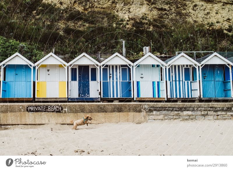 Privatstrand Lifestyle harmonisch Wohlgefühl Freizeit & Hobby Spielen Ausflug Sand Frühling Schönes Wetter Strand Hütte Strandhaus Umkleideraum Haustier Hund 1