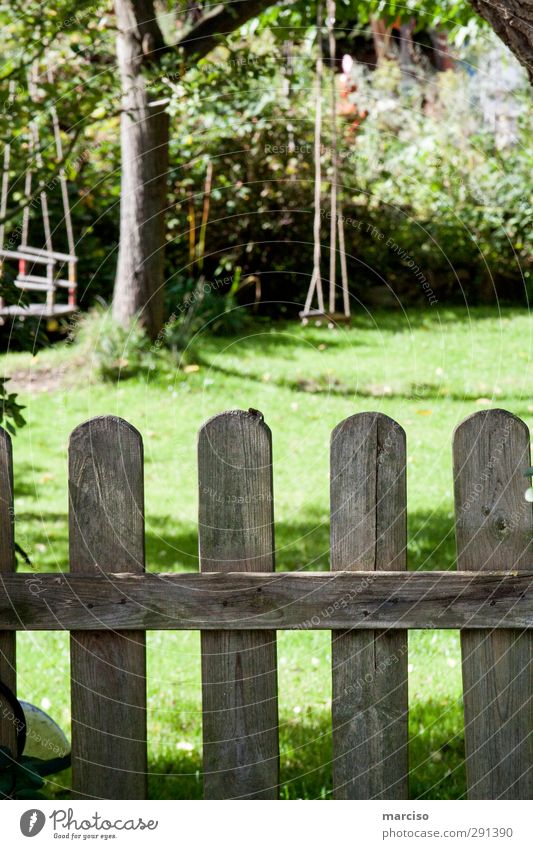 Hinterland Erholung ruhig Freizeit & Hobby Spielen Häusliches Leben Wohnung Garten Schaukel schaukeln Zaun Gartenzaun Fröhlichkeit mehrfarbig grün Freude