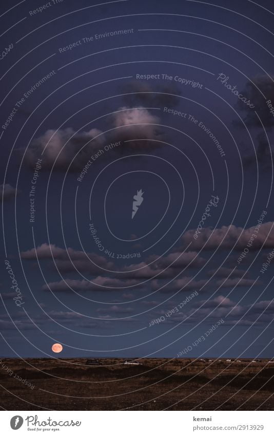 Mond überm Horizont, Wolken am Himmel Abend Nacht blaue Stunde Mondaufgang Menschenleer Mondschein Dämmerung Nachthimmel Natur Landschaft Licht