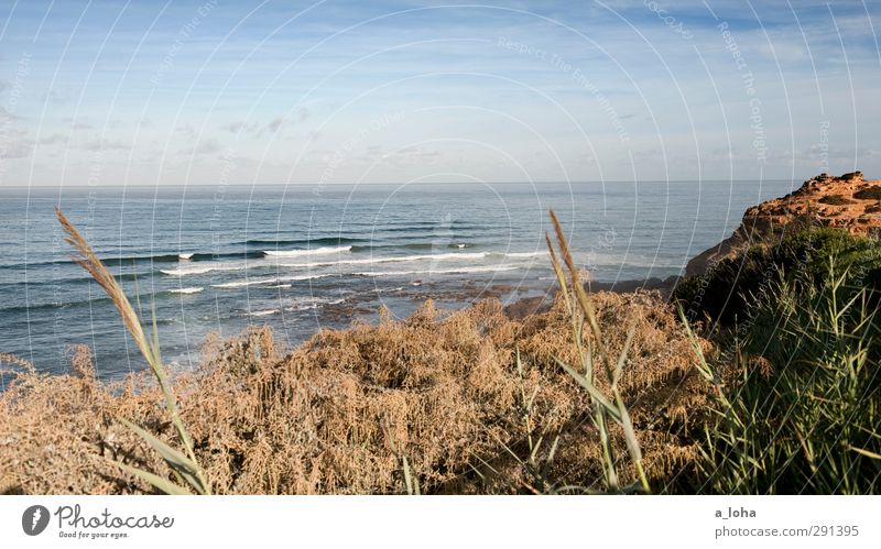 sao juliao daytime Umwelt Natur Landschaft Pflanze Urelemente Wasser Himmel Wolken Horizont Sommer Schönes Wetter Gras Sträucher Felsen Wellen Küste Strand Meer